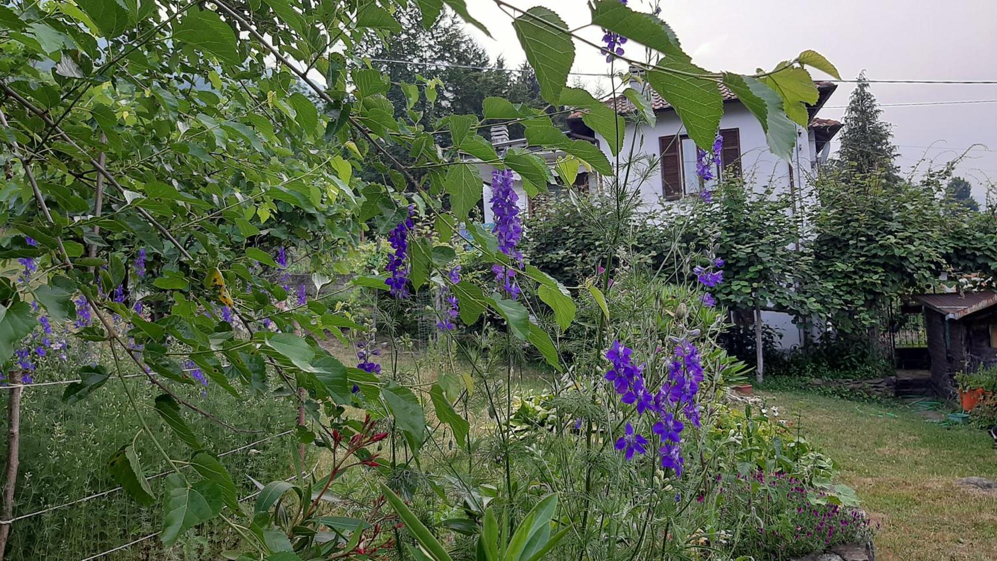 B&B Al Mutpron Casale Corte Cerro Luaran gambar